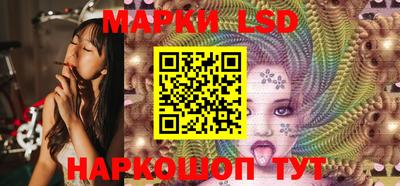 гидра Будённовск