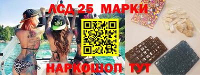 гидра Будённовск