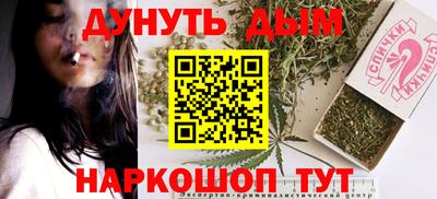 гидра Будённовск