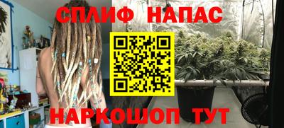 гидра Будённовск