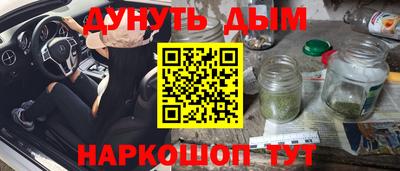 гидра Будённовск