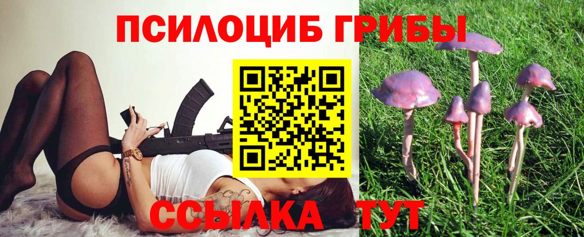 Псилоцибиновые грибы Cubensis Обнинск